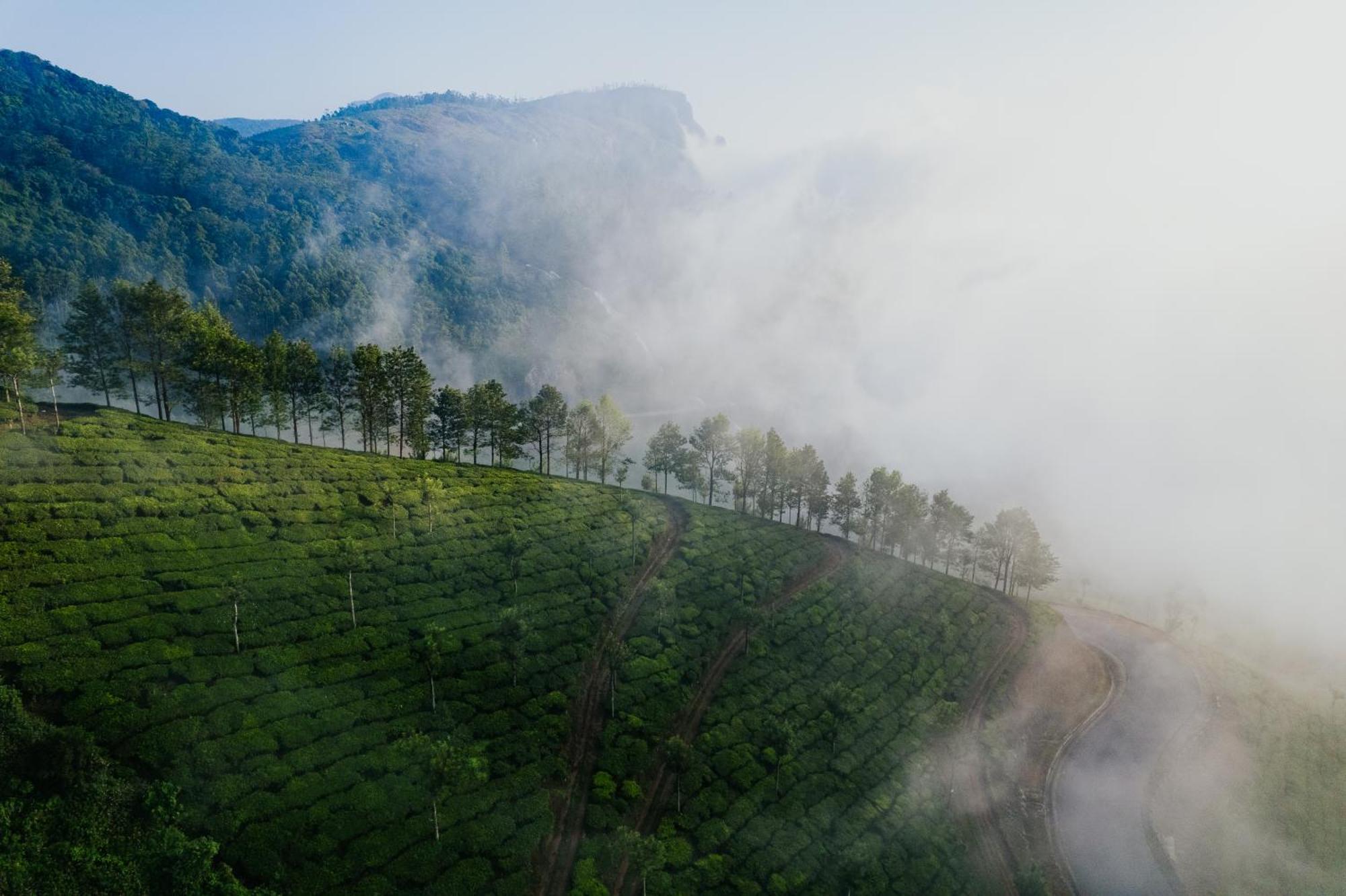 Misty Courtyard Resort Chinnakanal エクステリア 写真